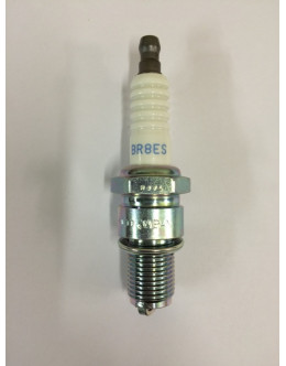  SPARK PLUG  503  582 618 447 cod. 897055